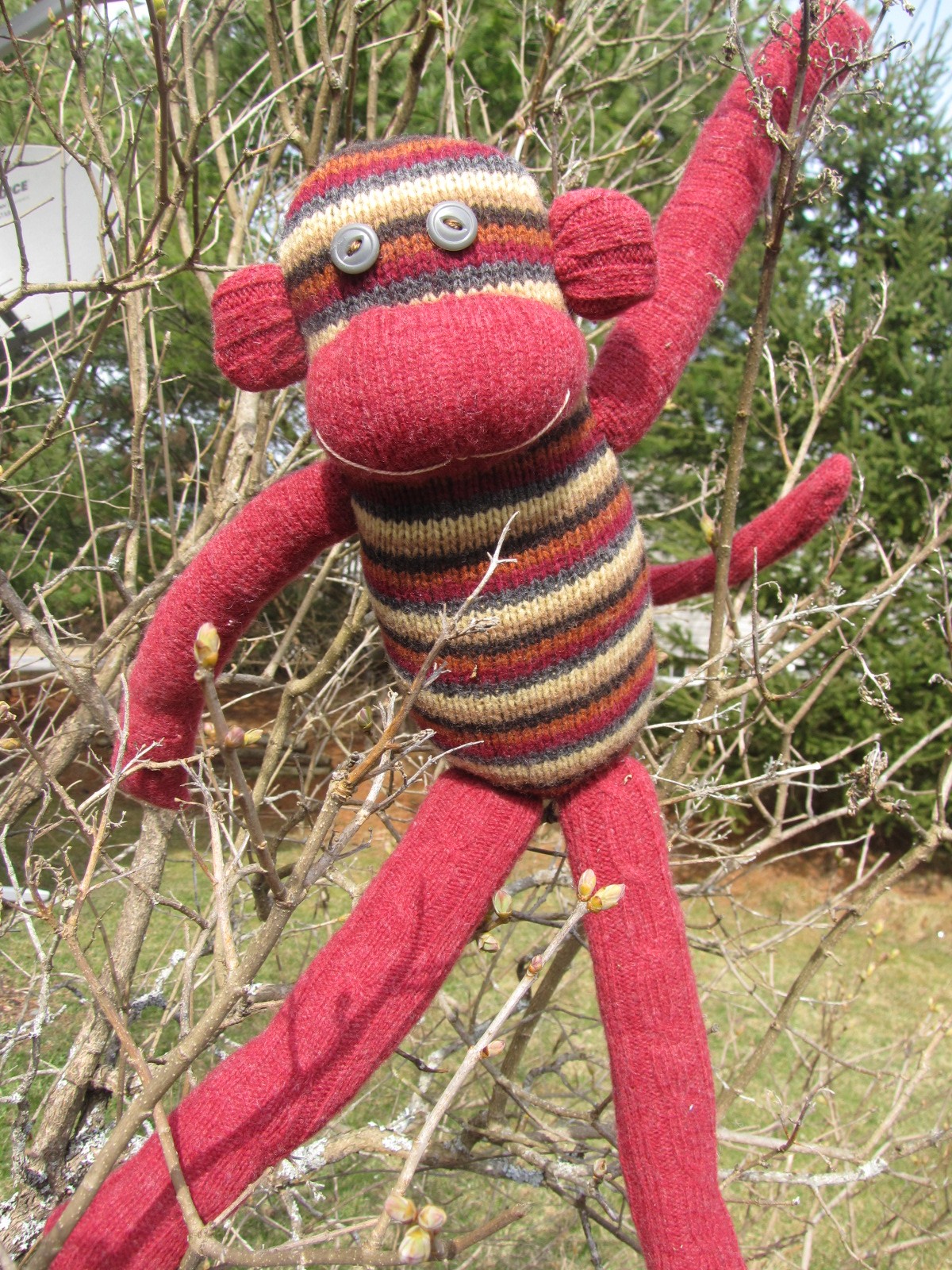 bluenotes sock monkey sweater